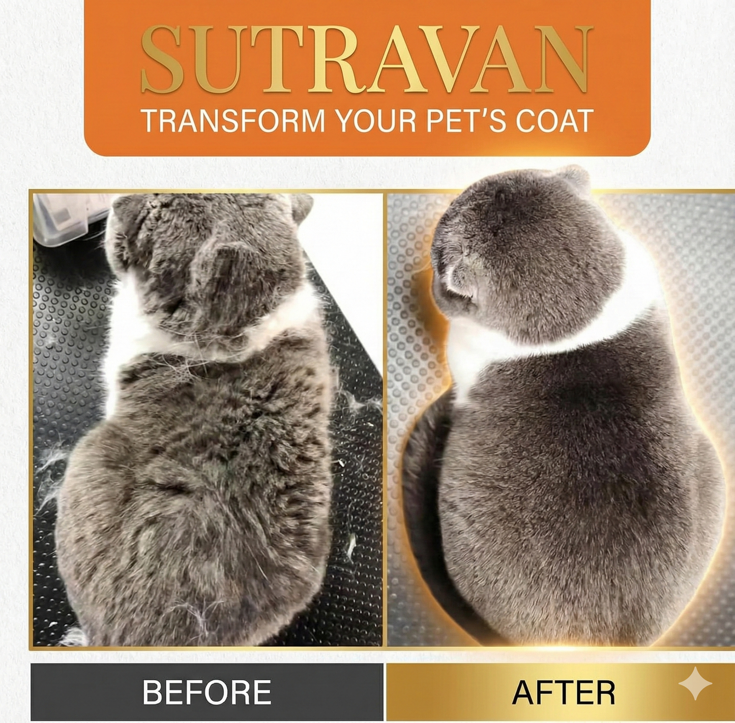 Sutravan 3-in-1 Spa Steam Brush: Groom, Massage & De-Shed Your Loved Pets