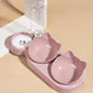 3 In 1 Cat Bowls With Water Feeder